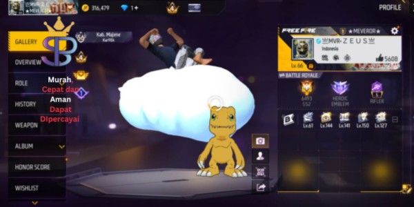 FF account with many skins, very good, cheap, includes SG 352