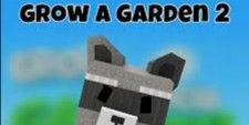 Raccoon