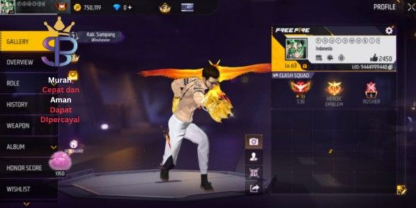 FF account with many skins, GG, cheap, includes SG 209