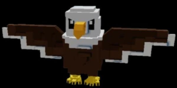 Aquila calva