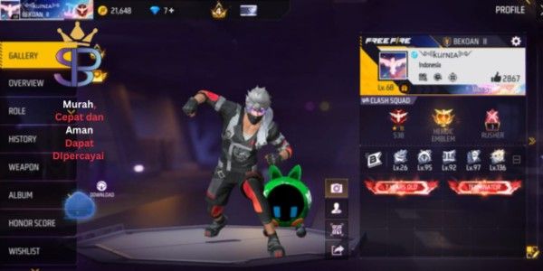 FF account with many skins, GG, cheap, includes SG 328