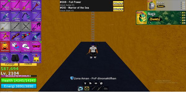 PERMANENT BLOX FRUIT ACCOUNT - NO 3