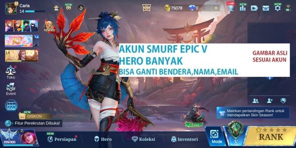 SMURF ACCOUNT LOTS OF EPIC BP ++ S