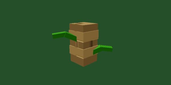 Sugar Cane Seed