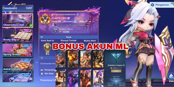 Bestseller | Sultan Mcgg account ready to play | many commanders | 100% safe guaranteed