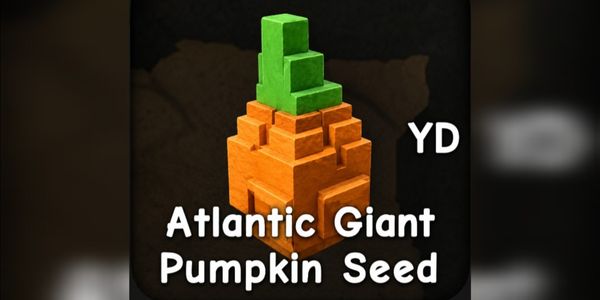Abóbora Gigante Atlantic