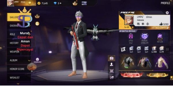 FF account with many skins, GG, cheap, includes SG 230