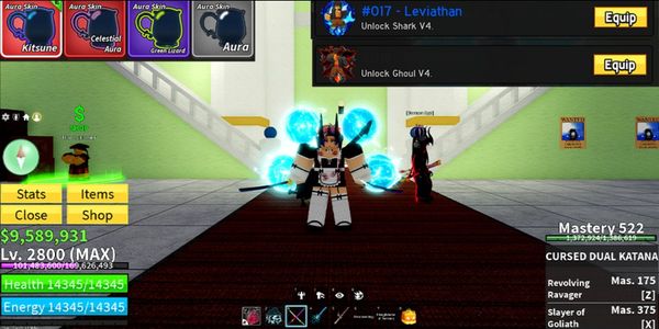 Bloxfruit Account - Basic Lightning + 2 V4