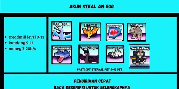 account 5-10 eternal pets