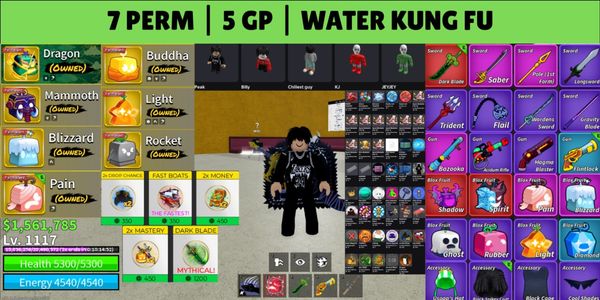 Blox Fruits Account — Perm Fruits & Gamepasses - 08