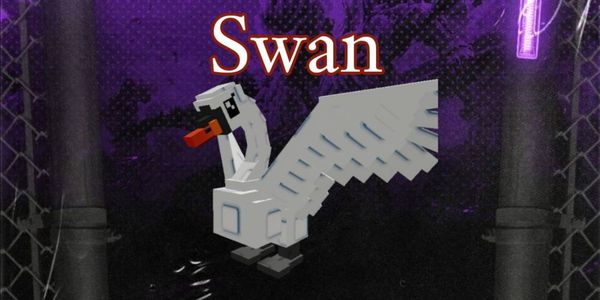 Swan