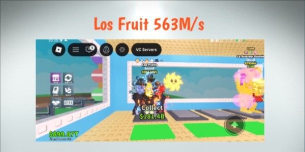 Fruits 563M/s