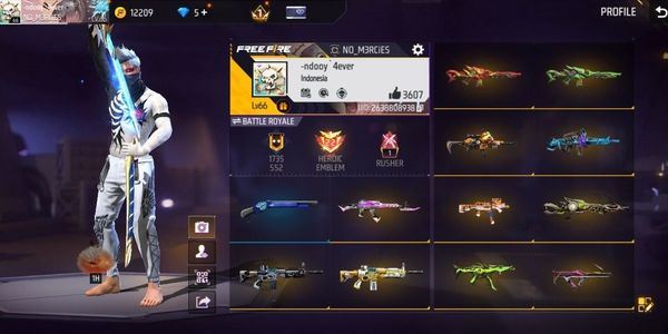 (0606) SG MAMBA BUNDLE COOL WEAPONS GALORE | 454 WEAPON SKIN & 415 VAULT | ANTI HACKBACK | SAFE | CHEAP