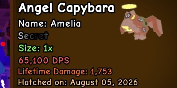 Angel Capybara 50-70k DPS