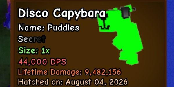 Disco Capybara 40k+ DPS