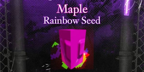 Maple Rainbow Seed