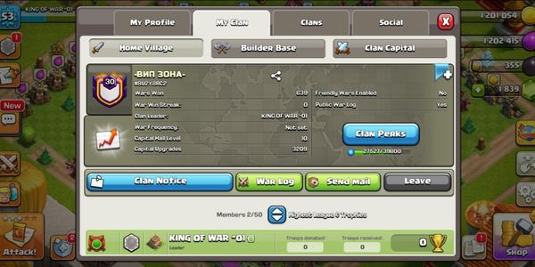 Clan Level 30 | Name: Zona VIP | Rare Name