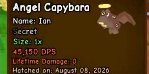Angel Capybara 45k+ DPS