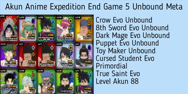 Anime Expedition Meta Unit Account