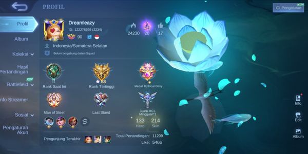 HERO EMBLEM ALL MAX SKIN 214 LIMITED GUINEVERE VALIR KUFRA KOF KARINA EPIC HARLEY ROGER NANA GROCK YI SUN-SHIN SL HELCURT BRODY MARTIS NATALIA ETC LUXURY