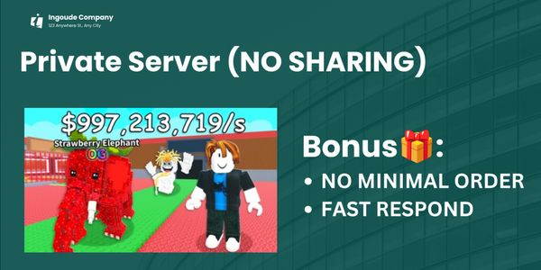 Private Server (NO SHARING)