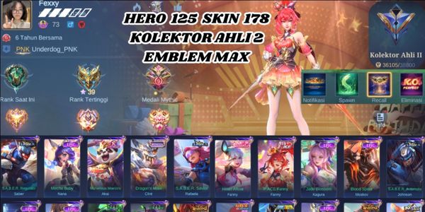 HÉROS 125 SKIN 178 COLLECTIONNEUR EXPERT 2 EMBLÈME MAX