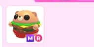 MR Burger Bear - Adopt Me