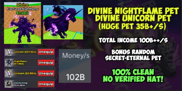 Compte DIVINE NIGHTFLAME (Vérifiez l'image + la description) | Steal An Egg