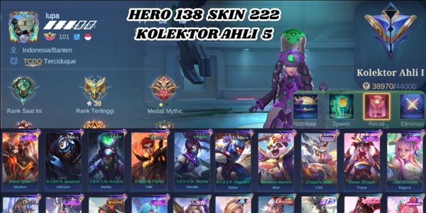 HÉROS 138 SKIN 222 COLLECTIONNEUR EXPERT 5