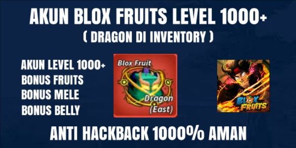 Akun Blox Fruits Level 1000+ Buah Dragon Belum Di Makan