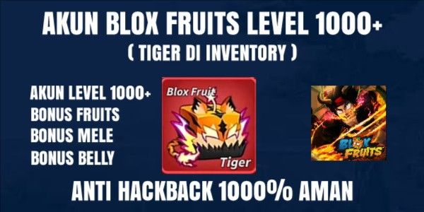 Blox Fruits अकाउंट लेवल 1000+ टाइगर फल अभी नहीं खाया गया है