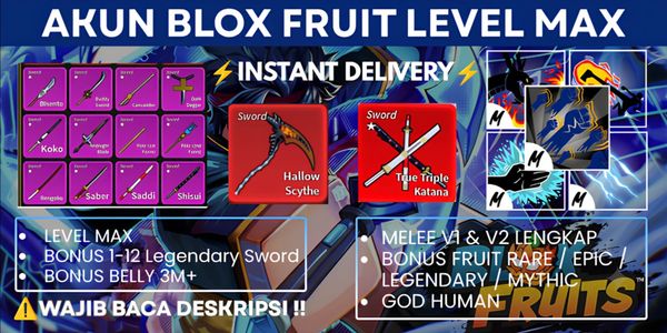 ACCOUNT BLOX FRUIT 100% SICHERHEIT [ LEVEL MAX ]
