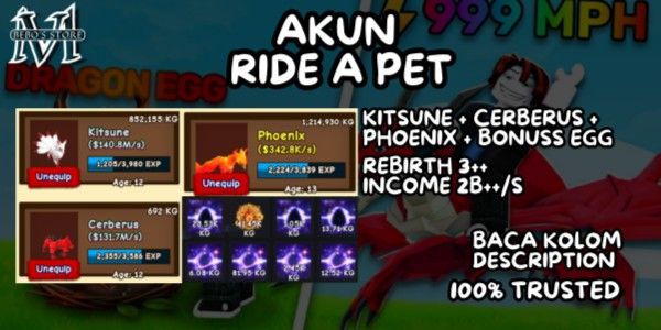 ACCOUNT 2B++/S | [ PET KITSUNE + CERBERUS + PHOENIX + BONUS EGG | Ride A Pet