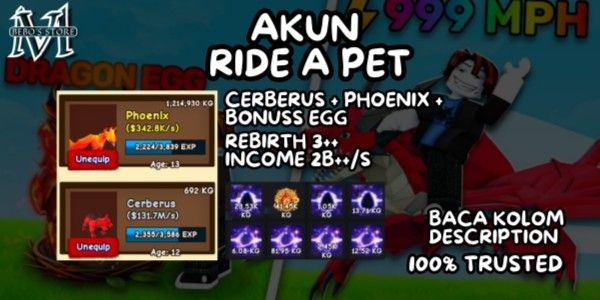 ACCOUNT 2B++/S [ PET CERBERUS + PHOENIX + BONUS EGG ] | RIDE A PET