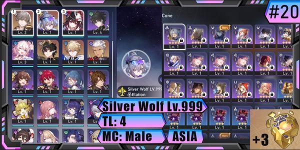 Silver Wolf Lv.999