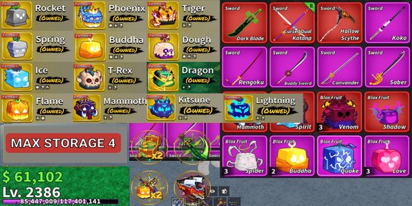 BLOX FRUITS PERMANENT DRAGON ACCOUNT #33