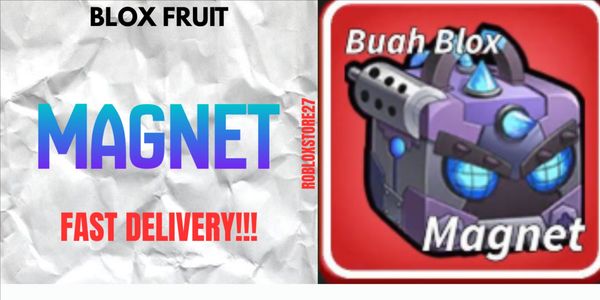 Magnet