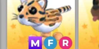 ocelot MFR